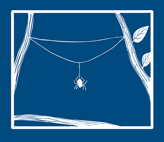 Blueprint-spider-step-3