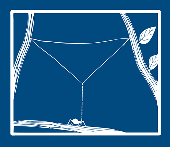 Blueprint-spider-step-4