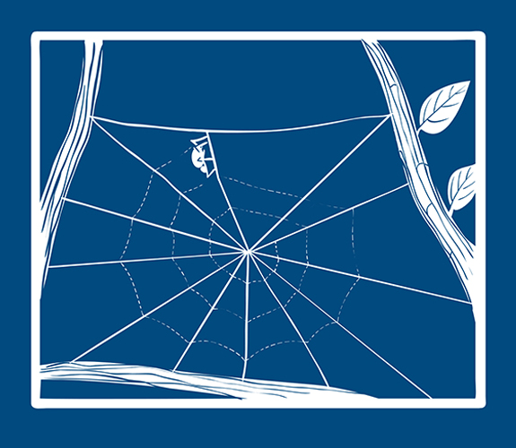 Blueprint-spider-step-5