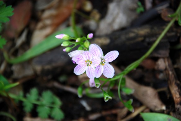 CLAVIR-CDWW-20140519-012