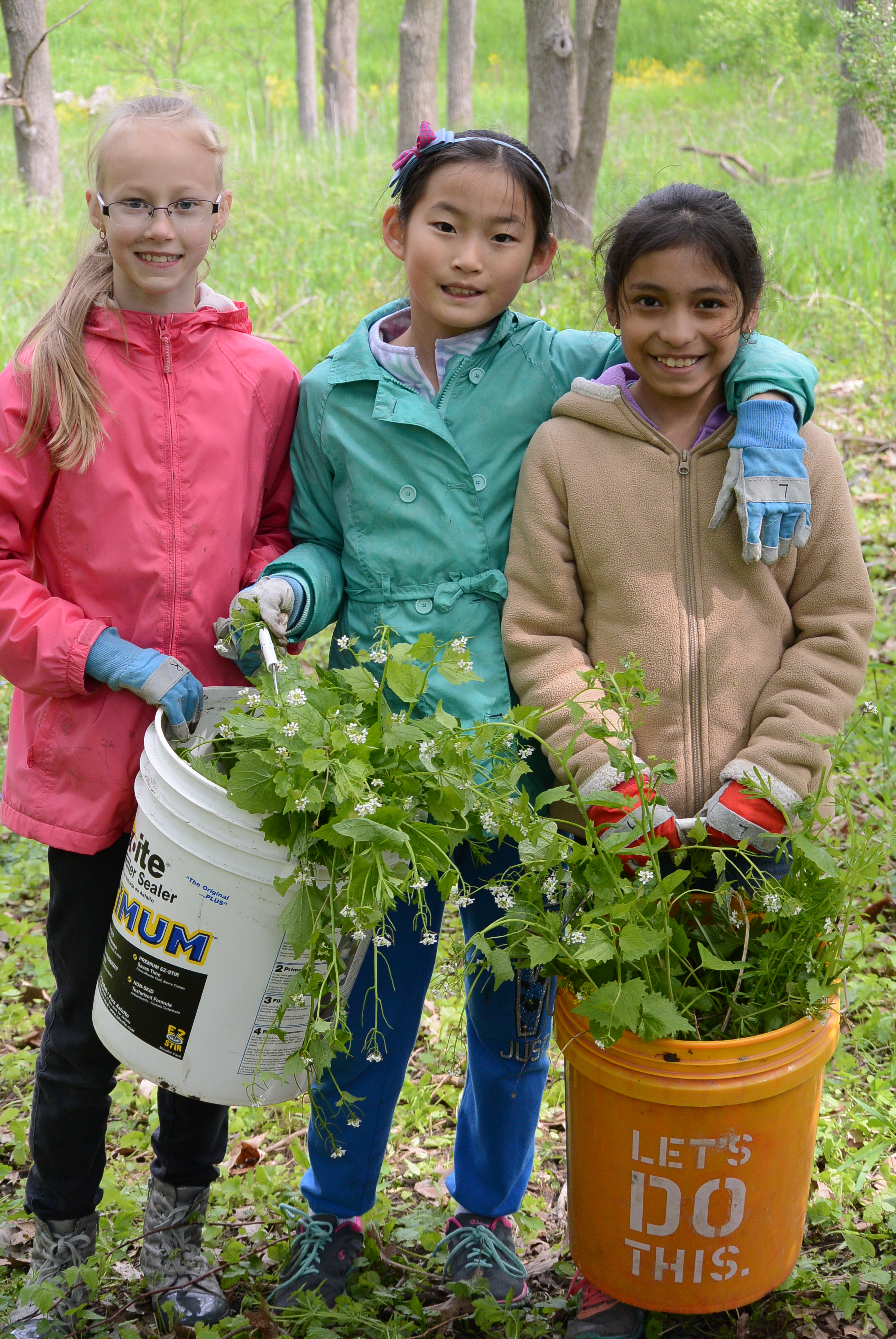 girls&amp;garlic mustard