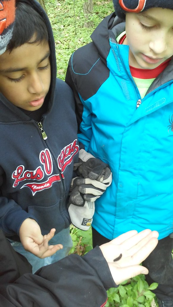 students&amp;caterpillar