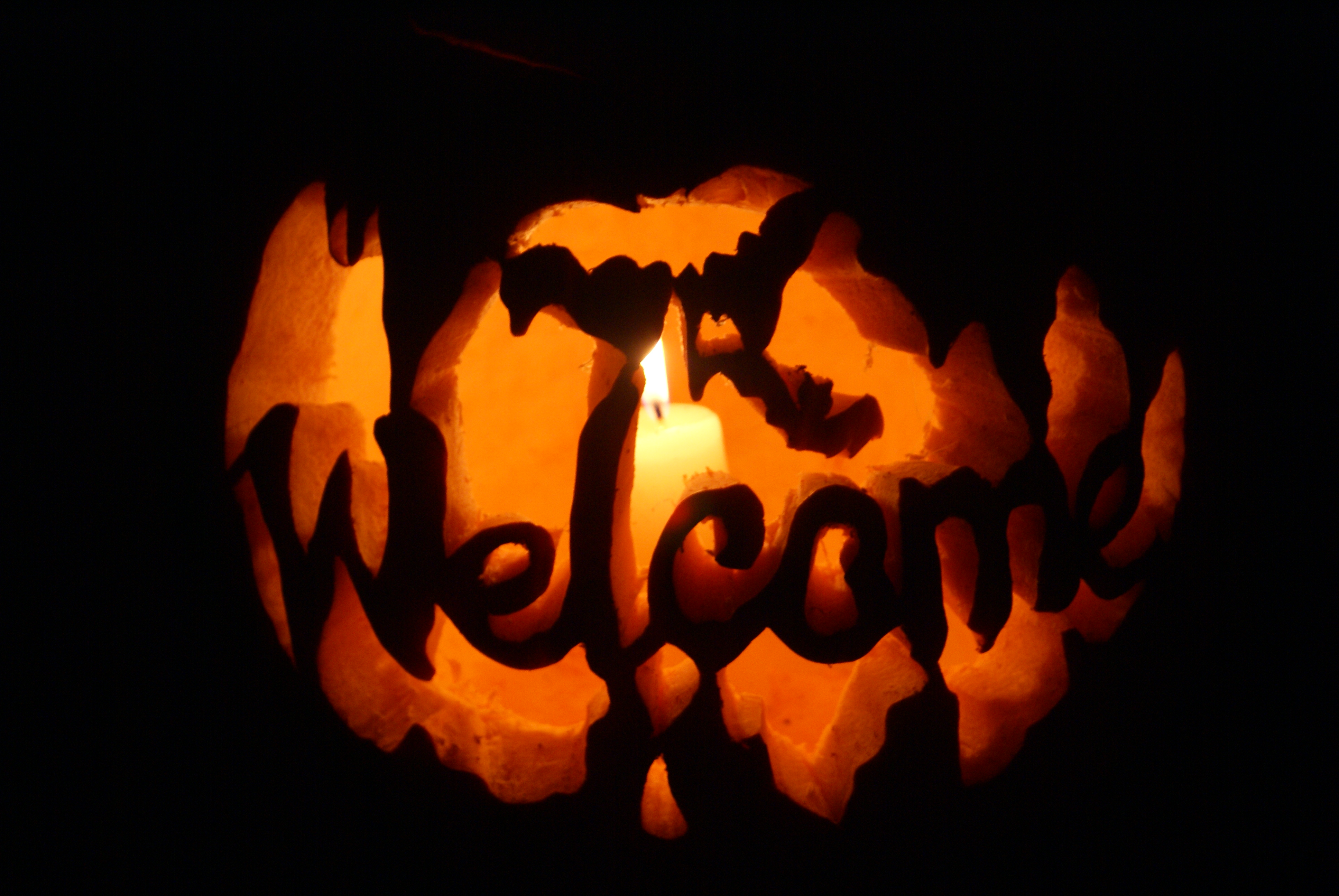Jack-o-lantern carved by a volunteer to decorate the wooded trail for Halloween Hikes. Photo © Lake County Forest Preserves. DSC04910.JPG