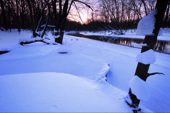 screen-shot-2017-01-30-at-11-50-48-am