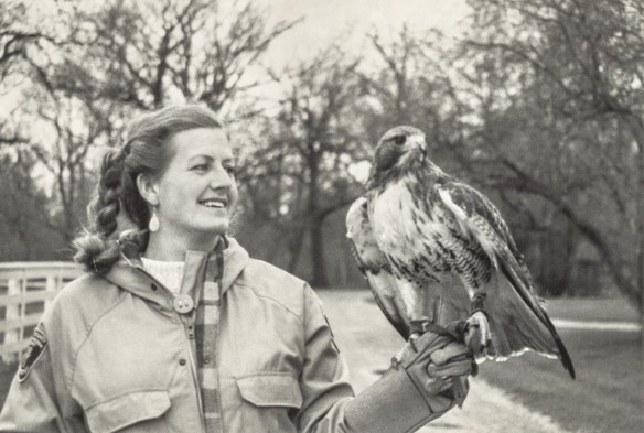 Director of Education Nan Buckardt with the hawk in 1989. Photo © Lake County Forest Preserves.