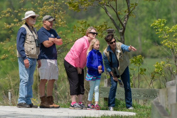 You can participate in Birdwatching Hotspots programs this spring and summer across Lake County. Photo © Tim Elliott.