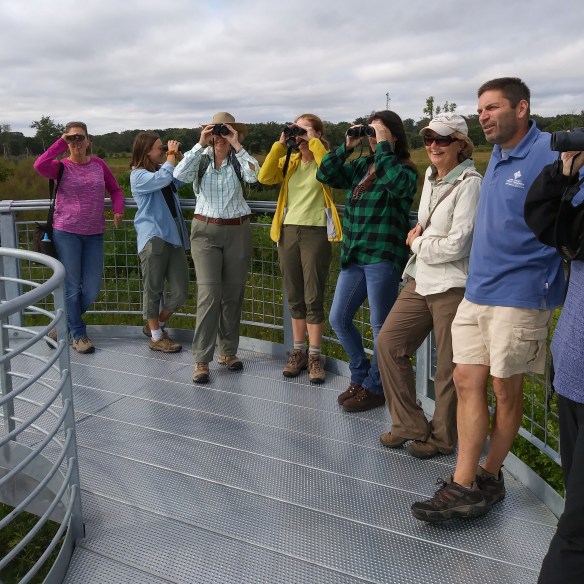 Birdwatching volunteers train atop the new observation deck at Spring Bluff in Winthrop Harbor. Photo © Lake County Forest Preserves.