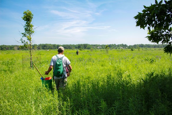 The Plant Team heads back to the trail. Photo © Lake County Forest Preserves.