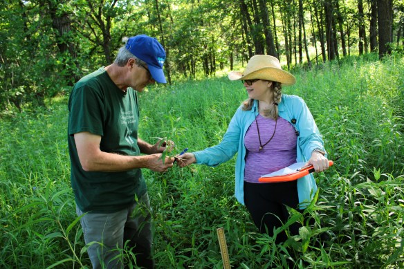 Pati and Ken admire a plant. Photo © Lake County Forest Preserves.