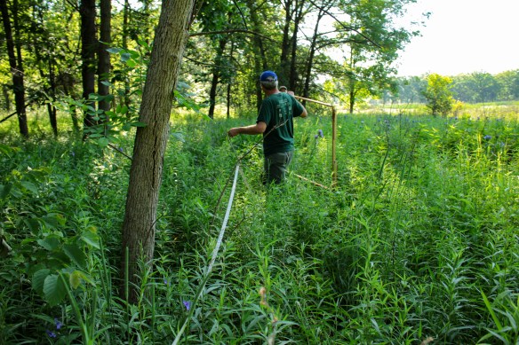The Plant Team on the move to the next plot, ten meters away. Photo © Lake County Forest Preserves.