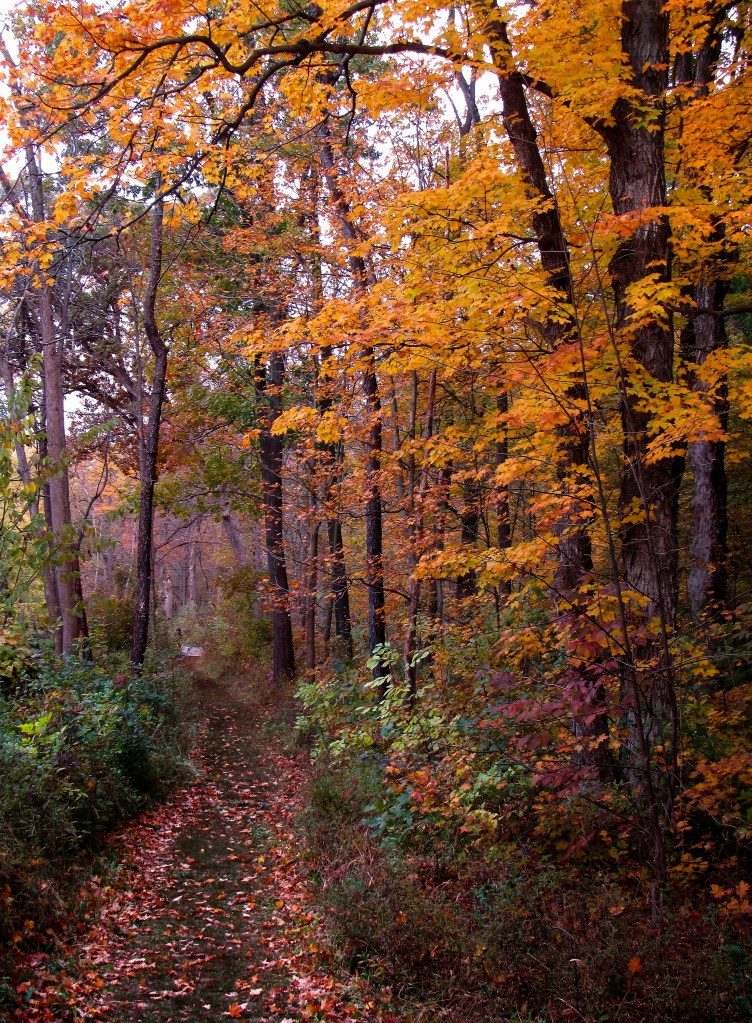 "Peaking." Photo © Michelle Wendling.
