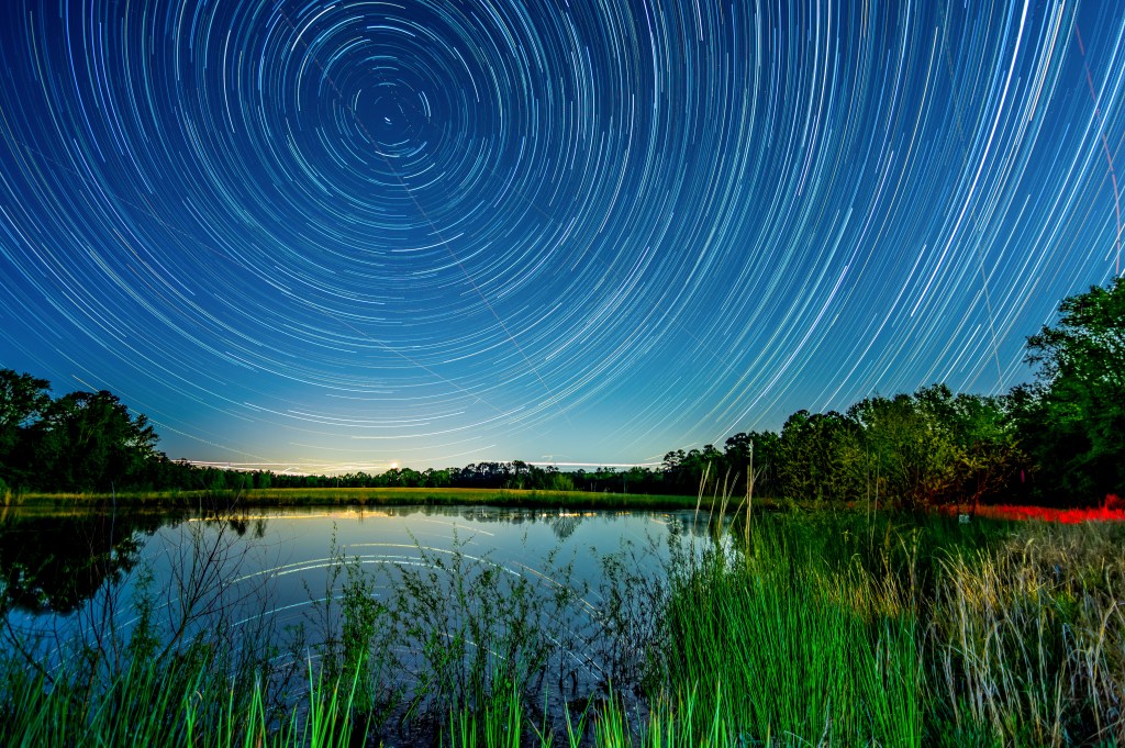 "Night Moves." Photo © reddog1975.