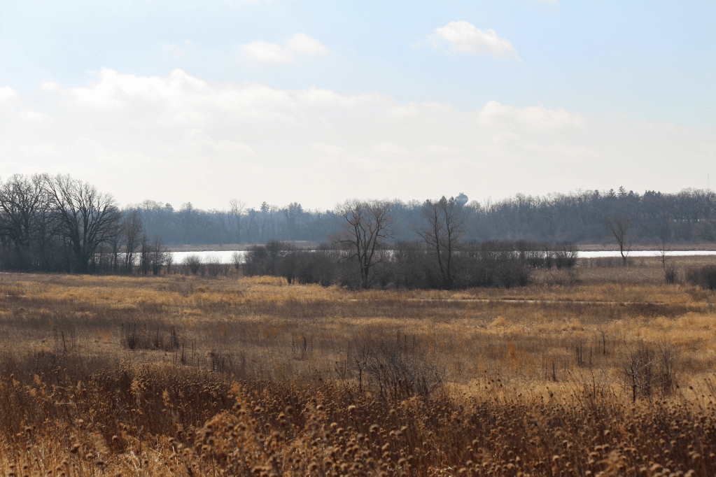 Sun Lake in the distance. To protect the delicate shoreline, no access to Sun Lake itself is allowed. Photo © Lake County Forest Preserves.