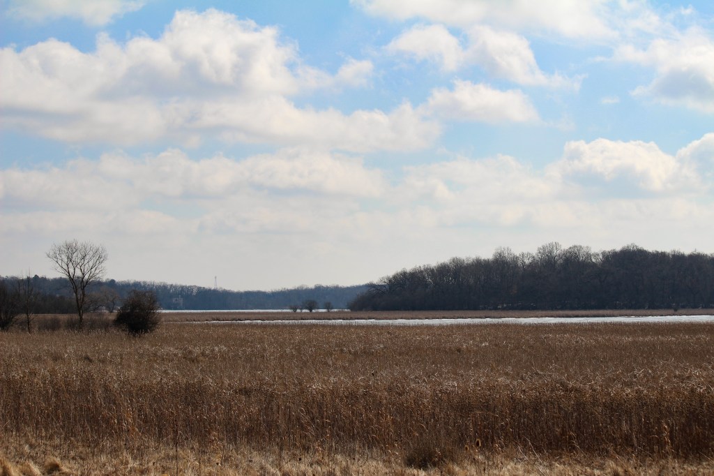 Another view of Sun Lake from an overlook on the preserve's west side. Photo © Lake County Forest Preserves.