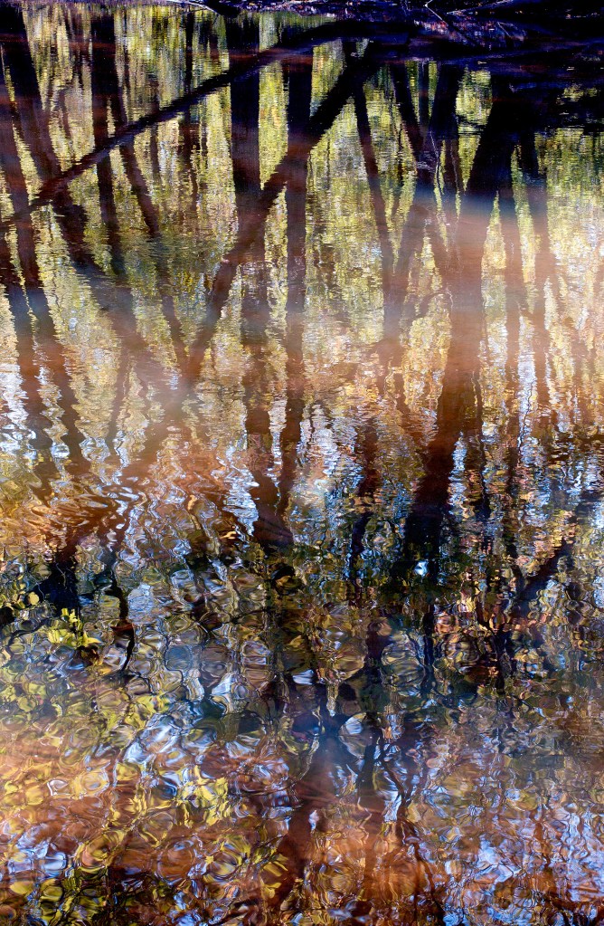 "Early fall water reflections." Photo © Bob London.