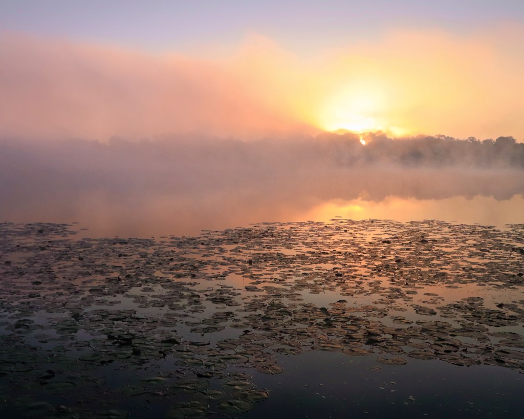 "Peaceful morning." Photo © Michelle Wendling.