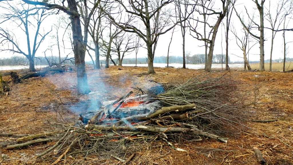 Invasive trees and shrubs are burned in large brush piles onsite. Photo © Mike Borkowski.