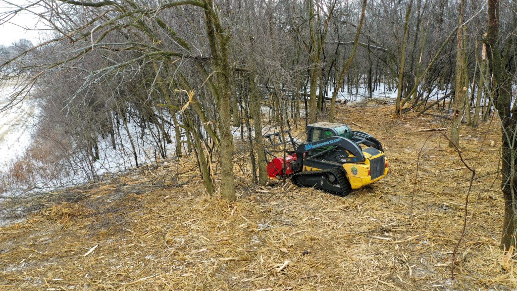A skid steer with a Fecon mower attachment shreds buckthorn and other woody invasive species in a thick hedgerow of invasive species. Photo © Mike Borkowski.
