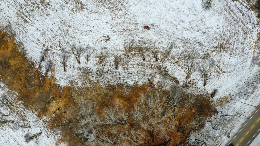 A top-down view of invasive trees cut by a chainsaw operator. Photo © Mike Borkowski.