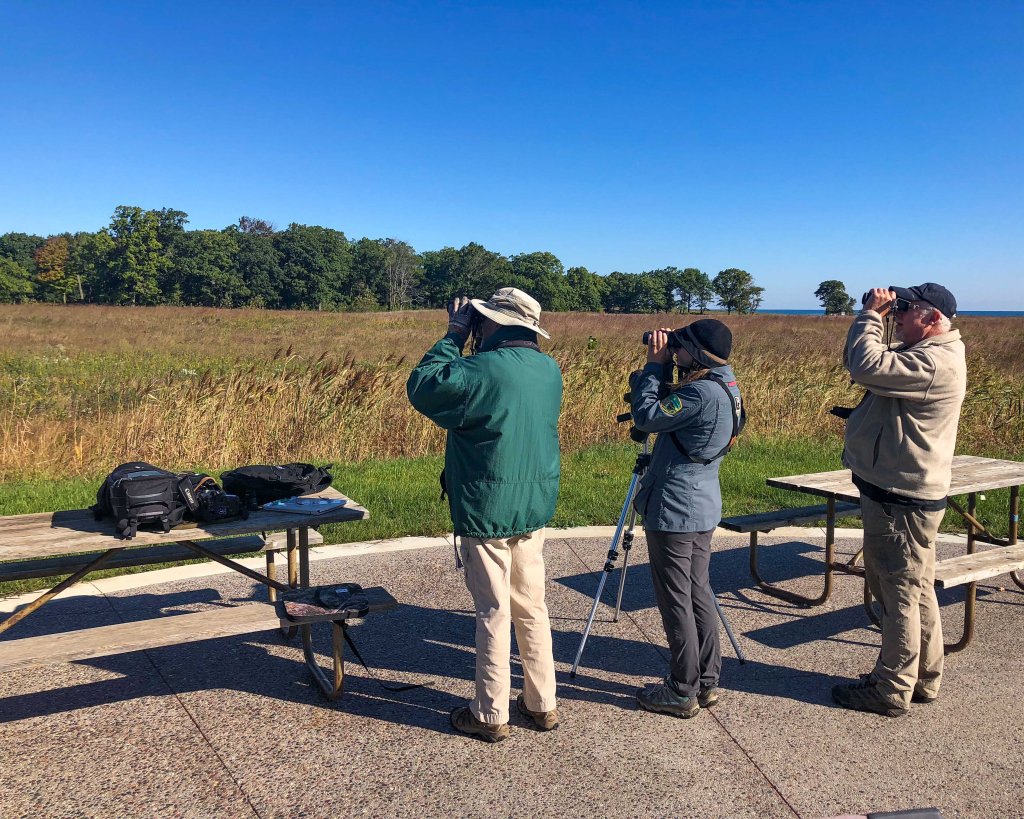 Volunteers watch for birds migrating along the Lake Michigan flyway at Fort Sheridan in Lake Forest. Photo © Michael Haug.