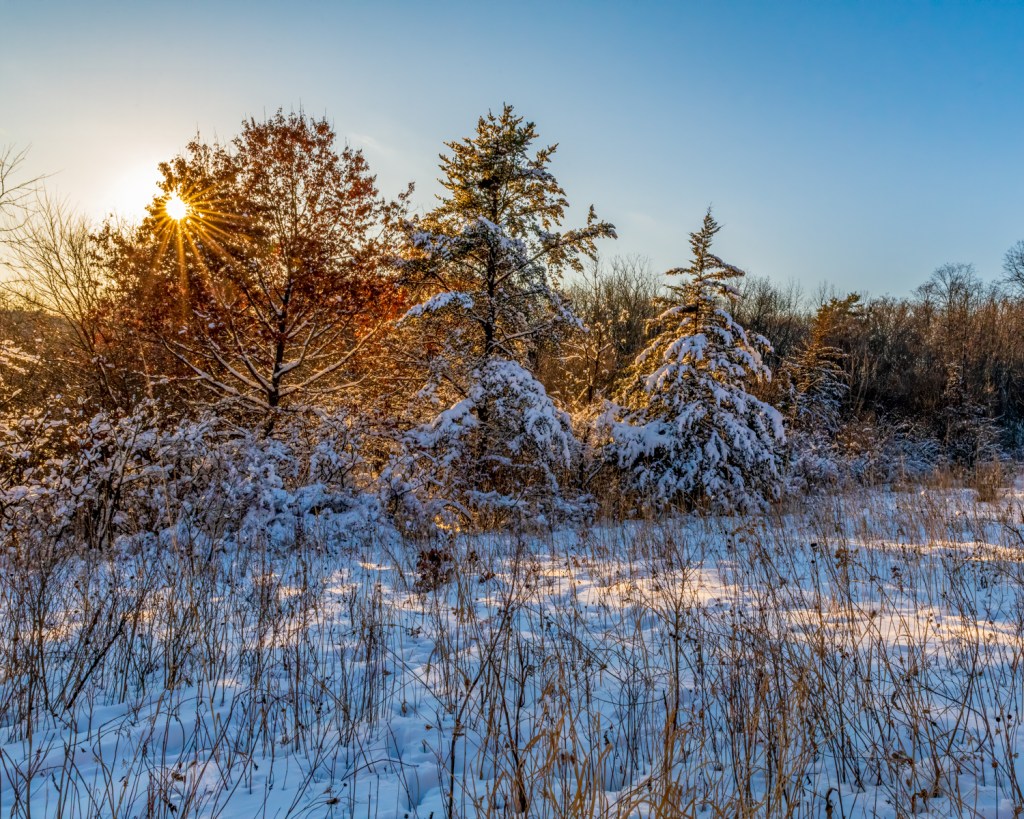 Winter is a time of snow, beautiful sunsets—and mating season for local owls. Photo © John D. Kavc.