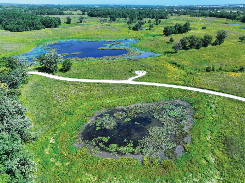 Pine Dunes contains magnificently restored wetlands, made possible in part by drain tile removal.