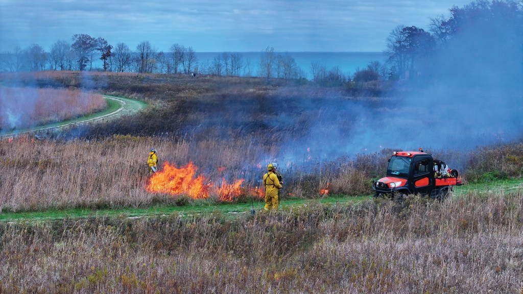 An aerial view of a prescribed burn underway at Fort Sheridan Forest Preserve (Lake Forest).