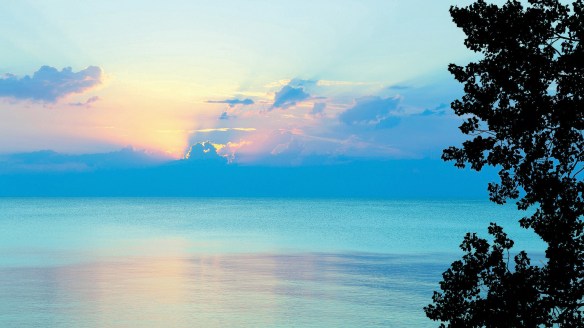 Fort Sheridan in Lake Forest
This preserve boasts sweeping views of Lake Michigan and a blend of wooded areas, bluffs and lakefront. Six ravines and 2.9 miles of shoreline provide a protected home for several endangered and threatened species. Parts of the historic fort, established in 1887, still stand.