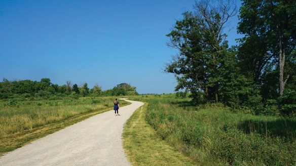 Ethel's Woods in Antioch
Winding trails and scenic overlooks reveal panoramic sights of a meandering stream and vast woodlands, inviting you to walk at a relaxed pace. Along the eastern edge of this preserve are 170 acres of centuries-old bur oak, white oak, shagbark hickory and black walnut trees.
