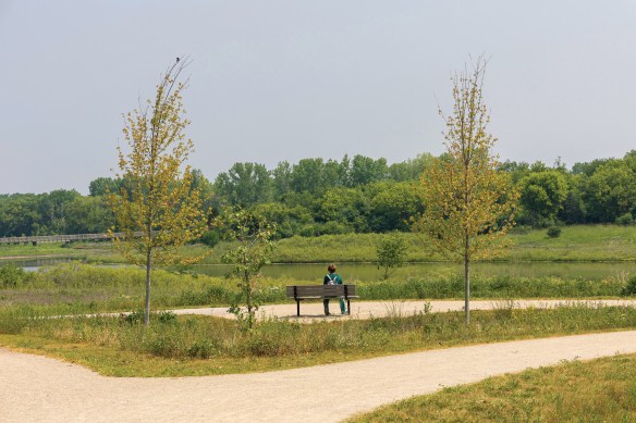 Buffalo Creek in Long Grove
A perfect spot to pause, relax and take in the sights and sounds of tranquility. Much of this preserve is carefully managed for flood control, evident in the dam on Buffalo Creek and the calm reservoir it creates.