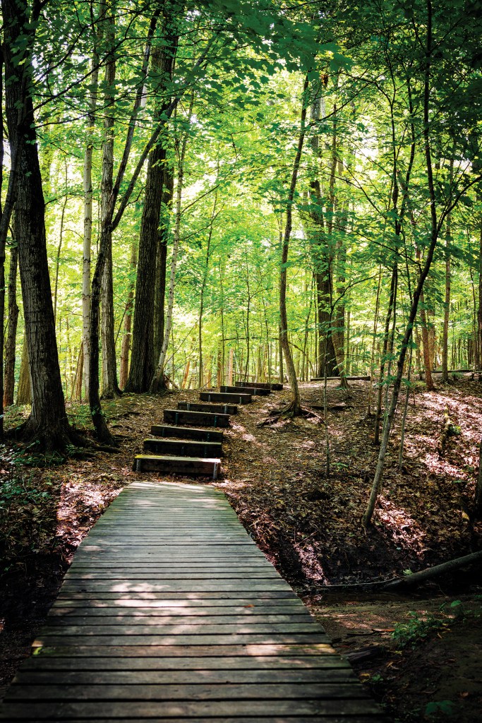 An inviting boardwalk and staircase at McDonald Woods in Lindenhurst, part of a 0.9-mile wood chip trail in the western portion of the preserve.