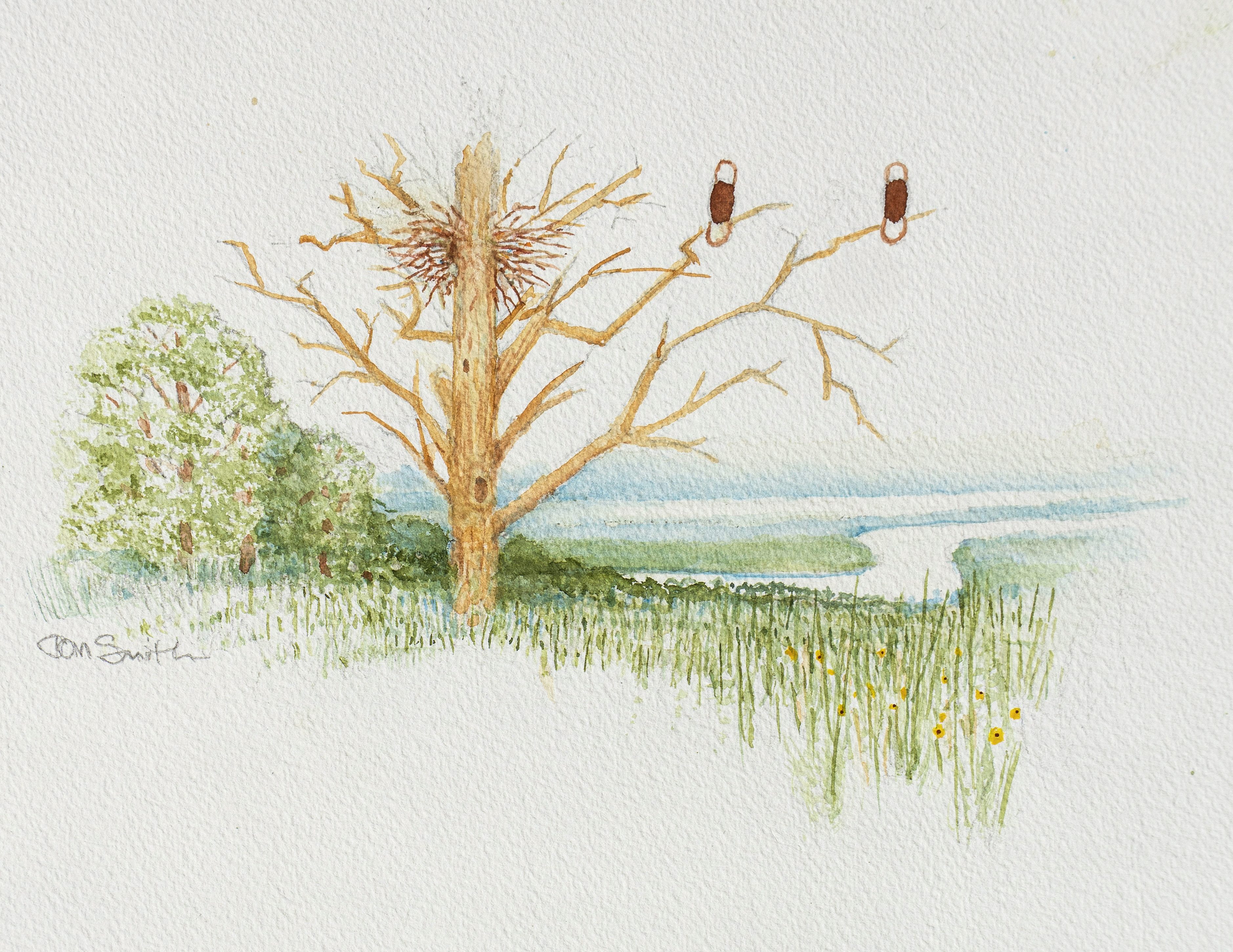 View from Gander Mountain: From the top of Gander Mountain in Antioch—Lake County’s highest natural elevation—two bald eagles survey the Fox River region, an area rich in Indigenous history. Watercolor by Tom Smith.