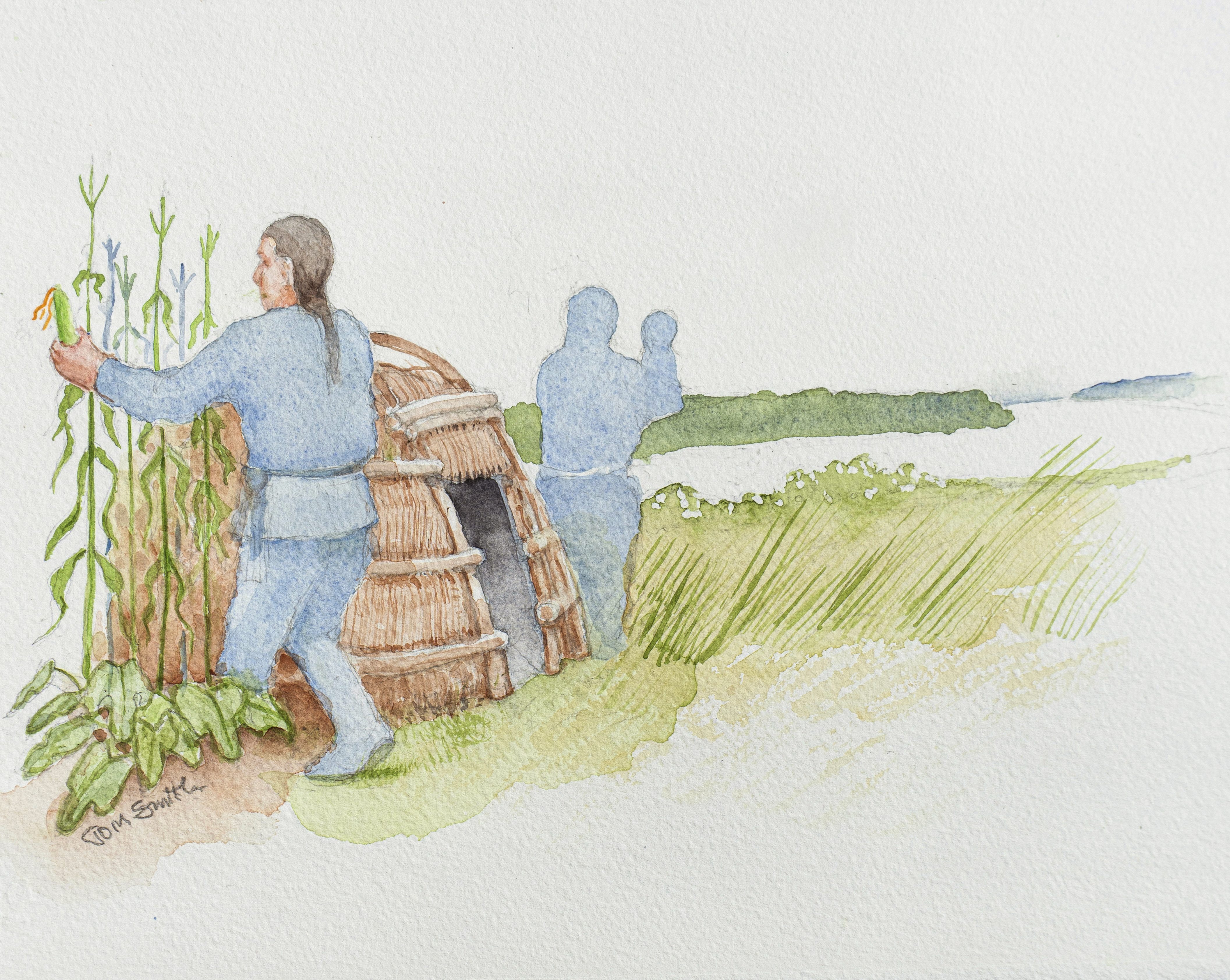 Village Life: In a village overlooking the Fox River, a Native family tends their garden planted with the “Three Sisters”—staple crops of corn, beans and squash. Watercolor by Tom Smith.