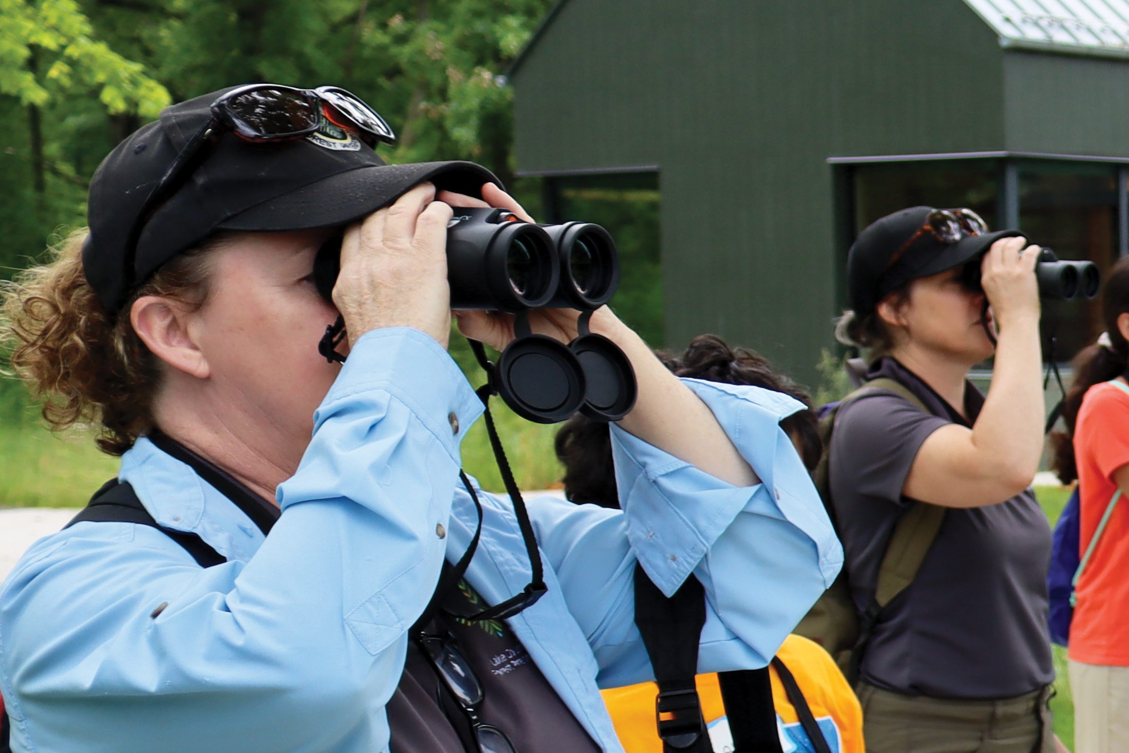Effective birdwatching requires just a few simple tools, including binoculars.