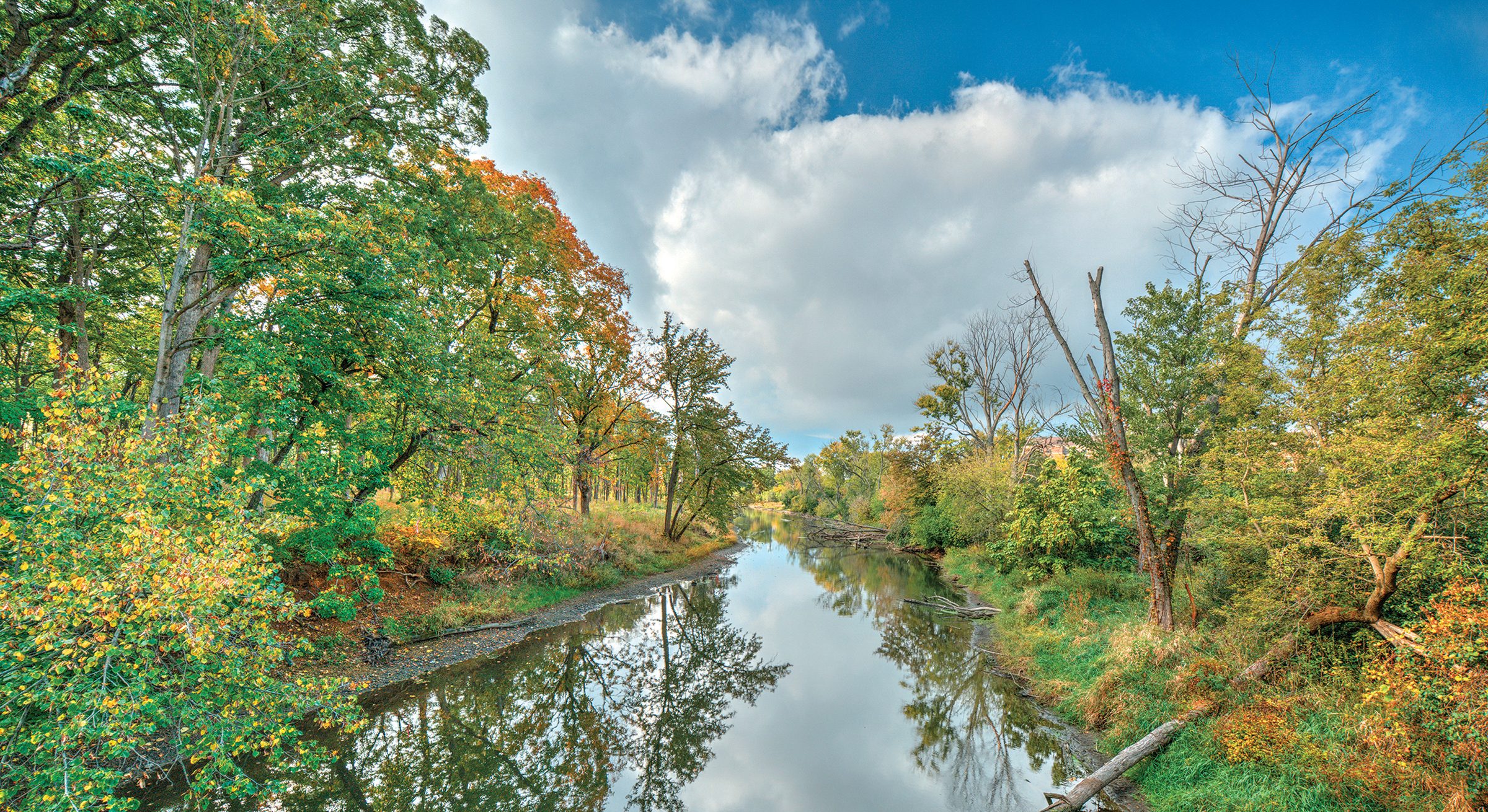 The Des Plaines River as seen from Cahokia Flatwoods Forest Preserve in Riverwoods.
