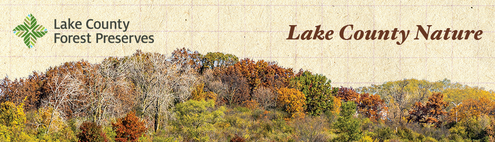 Lake County Nature