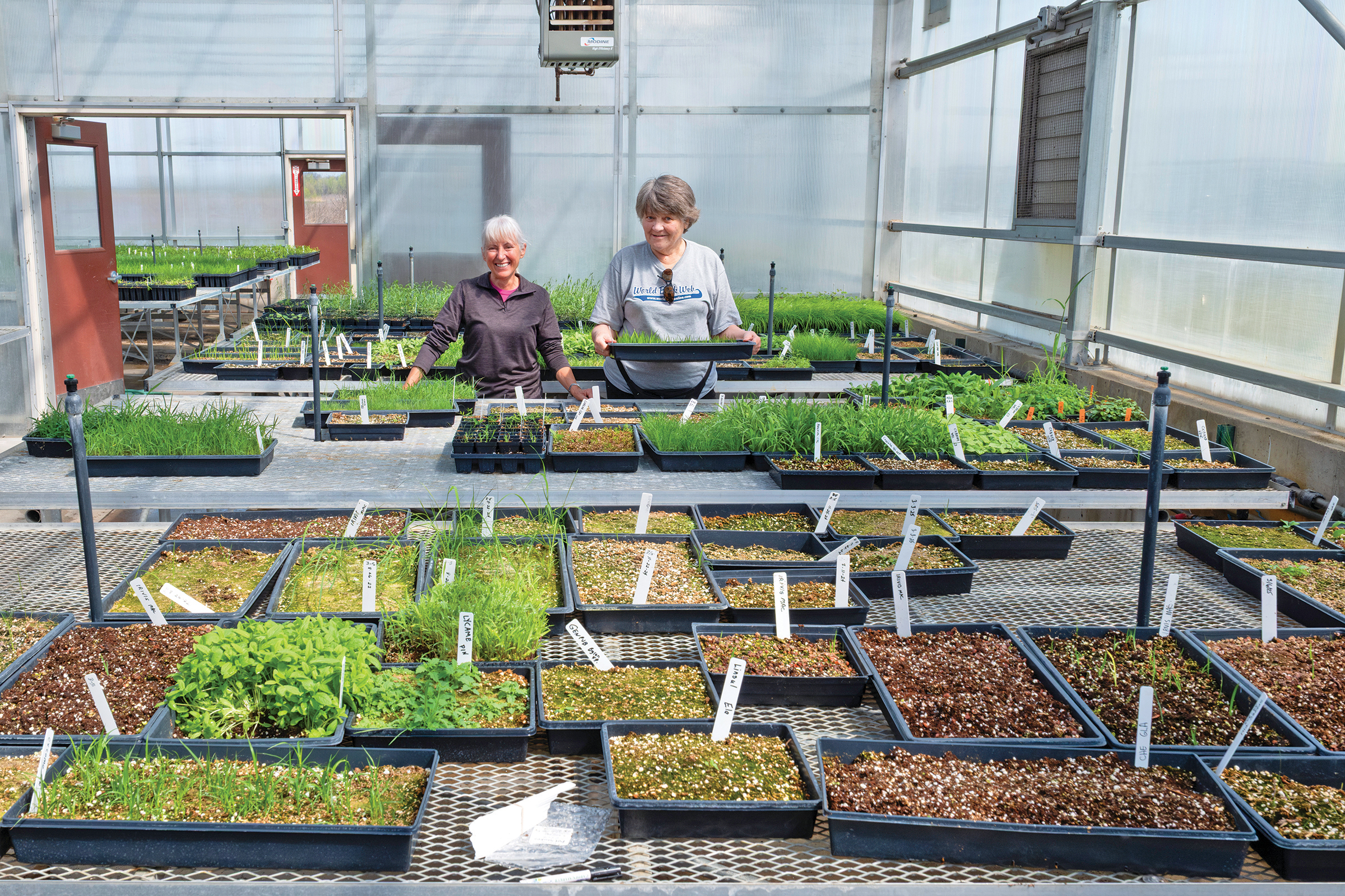 Two volunteers working in the greenhouse at the Native Seed Nursery in Grayslake.