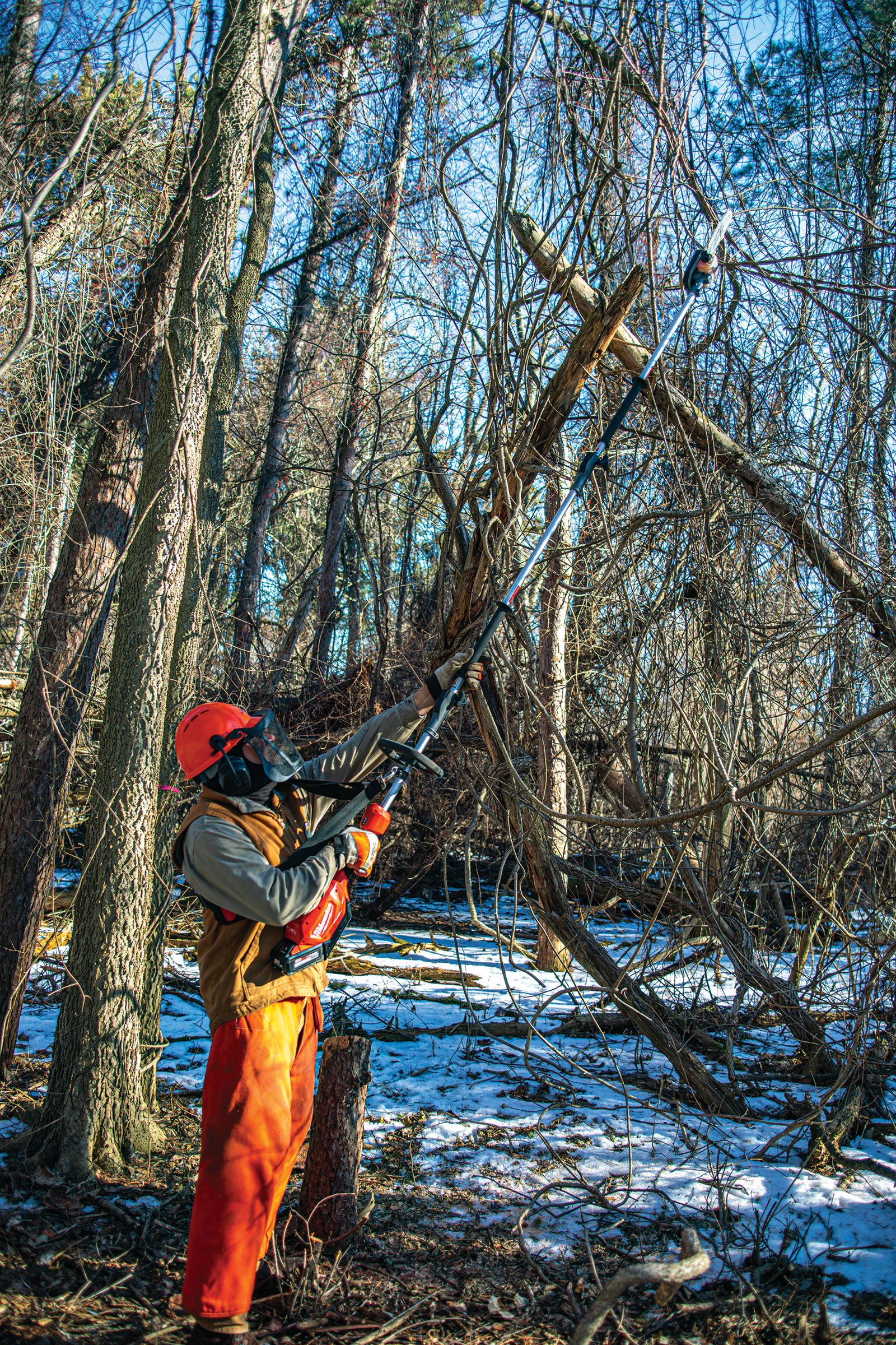 A habitat restoration volunteer cuts woody invasive brush.